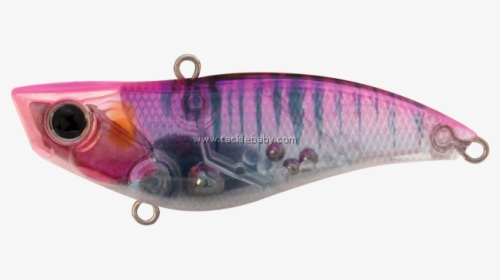 Fin, HD Png Download, Transparent PNG