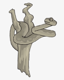Snake, Dead, Tree, Branch, Reptile, Curled - Snake, HD Png Download, Transparent PNG