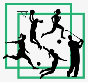 Volleyball, HD Png Download, Transparent PNG