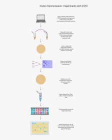 Diagram, HD Png Download, Transparent PNG
