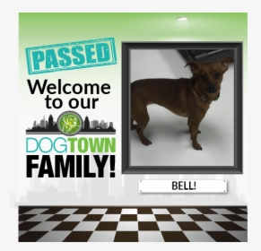 Bell - Guard Dog, HD Png Download, Transparent PNG