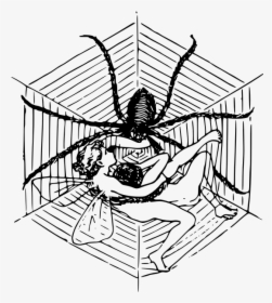 Woman And Spider Illustration - Spider Web Pixel Art, HD Png Download, Transparent PNG