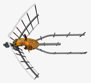 Bee, HD Png Download, Transparent PNG