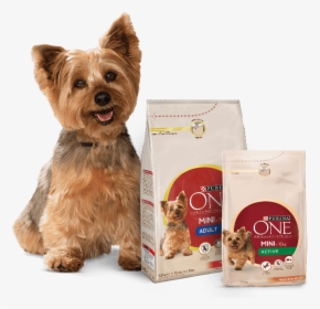 Purina One Small Dog, HD Png Download, Transparent PNG