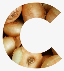 C - Yellow Onion, HD Png Download, Transparent PNG