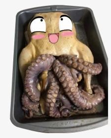 Dank Happy Thanksgiving Meme, HD Png Download, Transparent PNG