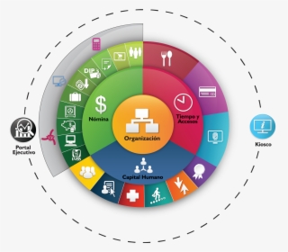 Sistema Integral Eslabón , Png Download - Circle, Transparent Png ...