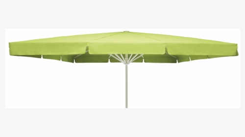 Giant Parasol Albatros - Umbrella, HD Png Download, Transparent PNG