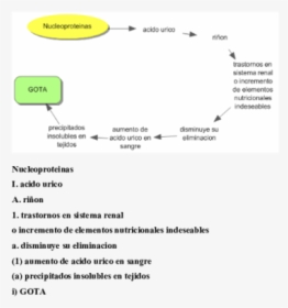 Document, HD Png Download, Transparent PNG