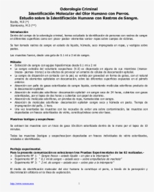 Document, HD Png Download, Transparent PNG
