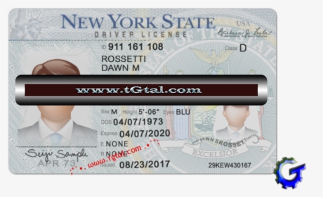 New York Drivers License 2019, HD Png Download, Transparent PNG