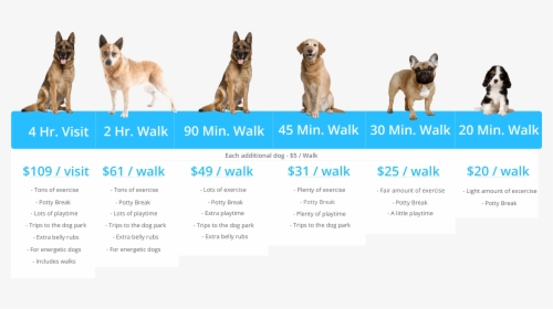 Barkbud Pricing Table - Guard Dog, HD Png Download, Transparent PNG