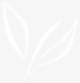 Logo - Johns Hopkins Logo White, HD Png Download, Transparent PNG