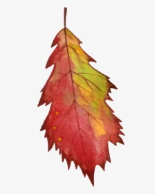 Vector Watercolor Fall Leaves, HD Png Download, Transparent PNG