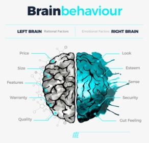 Brain Behavior - Brain Drawings Half And Half, HD Png Download, Transparent PNG