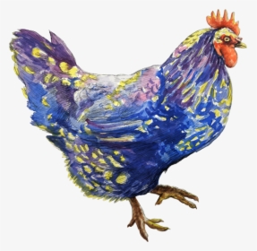 Poultry,livestock,fowl - Chicken, HD Png Download, Transparent PNG
