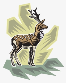 Vector Graphics,free Pictures, Free Photos, Free Images, - Deer, HD Png Download, Transparent PNG