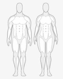 Body Composition Cliparts - Over Weight Human Body, HD Png Download, Transparent PNG