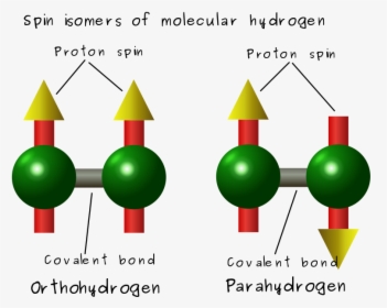 Difference Between Ortho And Para Hydrogen - Hydrogen Spin, HD Png Download, Transparent PNG