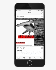 Shark Trust Instagram Mockup 3, HD Png Download, Transparent PNG