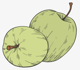 Winter Squash, HD Png Download, Transparent PNG