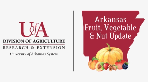 Arkansas Fruit Vegetable Nuts Update - University Of Arkansas Division, HD Png Download, Transparent PNG
