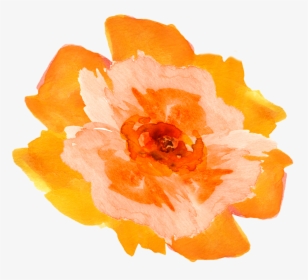Transparent Floral Watercolor Png - Watercolor Orange Flowers Png, Png Download, Transparent PNG