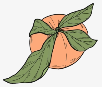 Clip Art, HD Png Download, Transparent PNG