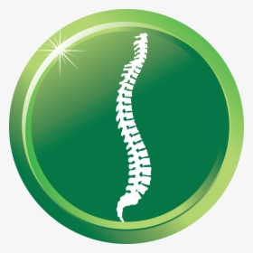 Chiropractic, HD Png Download, Transparent PNG