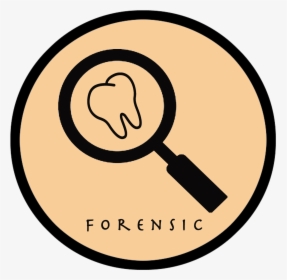 Forensic Dentistry Clipart , Png Download - Forensic Odontology Clipart, Transparent Png, Transparent PNG