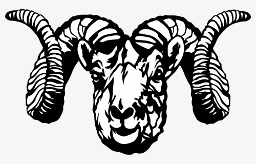 Sheep, Head, Skull, Face, Horns, Mammal, Livestock - Black And White Ram Clip Art, HD Png Download, Transparent PNG