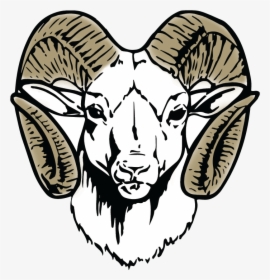 Argali,sheep,head,line Art,goat Antelope,wing,black - Newton County High School Mascot, HD Png Download, Transparent PNG