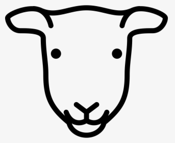 Female Sheep Head - Sheep, HD Png Download, Transparent PNG