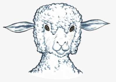 Transparent Sheep Head Png - Sheep, Png Download, Transparent PNG