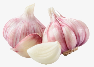Ajo Violeta - Home - Pink Garlic, HD Png Download, Transparent PNG