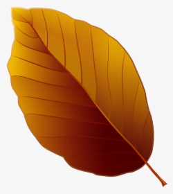 Brown Cliparts Png Leaves - Brown Autumn Leaf Clipart, Transparent Png, Transparent PNG