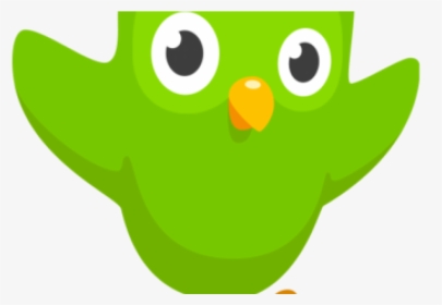 Duolingo Enables English Speakers To Learn Hebrew For - You Missed Your Spanish Lesson, HD Png Download, Transparent PNG