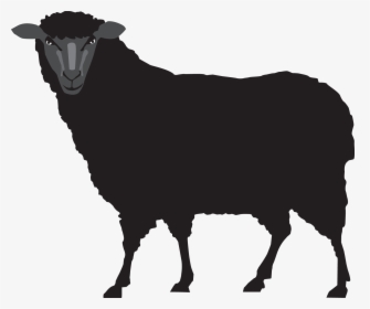 Sheep, HD Png Download, Transparent PNG