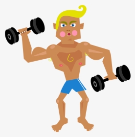 Musculalr Man Workout Clipart - Musclé Clipart, HD Png Download, Transparent PNG