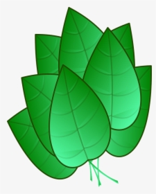 Green Leaves Clipart Tobacco Leaf - Tobacco Leaf Clipart, HD Png Download, Transparent PNG