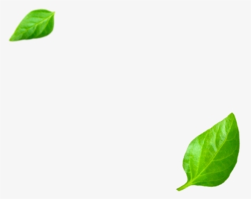 Illustration, HD Png Download, Transparent PNG