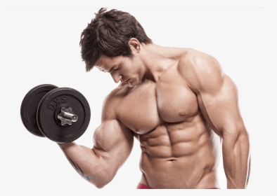 Muscle Image Purepng Free - Build Muscle, Transparent Png, Transparent PNG