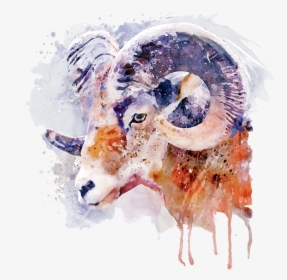 Bighorn Sheep Art, HD Png Download, Transparent PNG