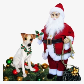 Transparent Christmas Santa Png - Christmas Celebrated, Png Download, Transparent PNG