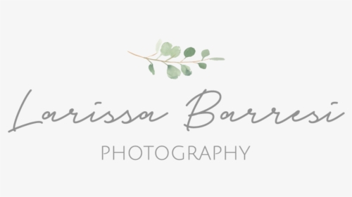 Larissa Barresi Photography - Calligraphy, HD Png Download, Transparent PNG