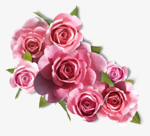 Rose Images, Flower Images, Rose Pictures, Flower Art, - Ramos De Rosa Png, Transparent Png, Transparent PNG