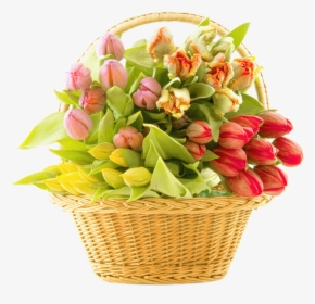 Flower Of Basket Png, Transparent Png, Transparent PNG