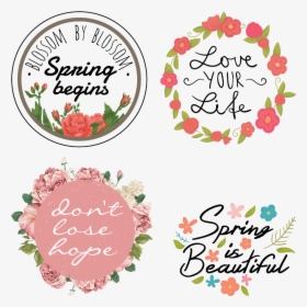 Personalize These Sample Clipart Images From The Floral - Insta Highlights Cover Pics 2019, HD Png Download, Transparent PNG