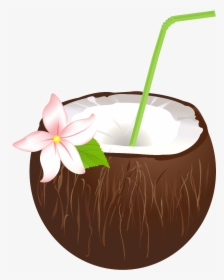 #drink #drinks #cocktails #coconut #flower #summer - Coconut Summer Drink Cocktail, HD Png Download, Transparent PNG
