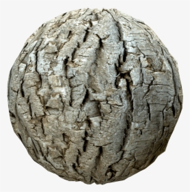 Transparent Tree Bark Texture Png - Artifact, Png Download, Transparent PNG